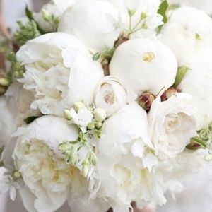 Meet your Posher, Edith